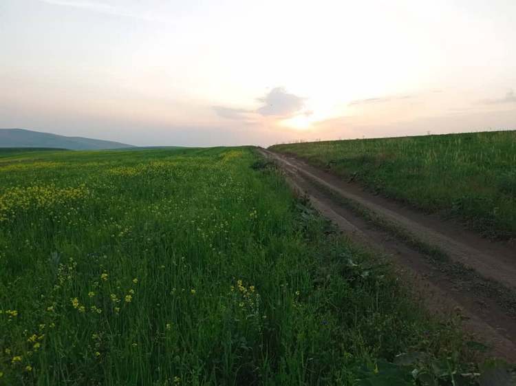 Гора Алдиер