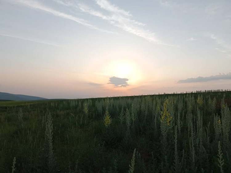 Гора Алдиер