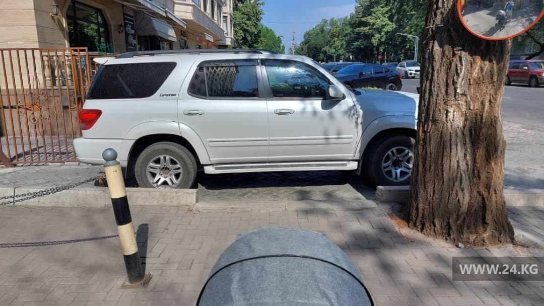 Чудаки парковки