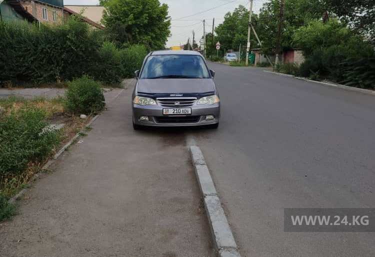 Чудаки парковки