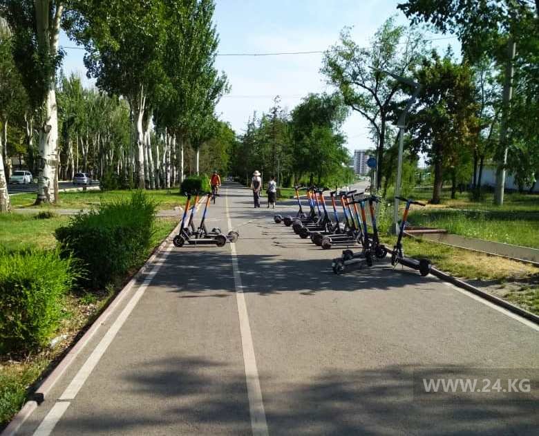 Чудаки парковки