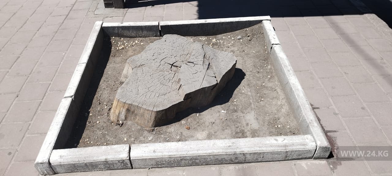 Остановка на проспекте Чуй возле Дома ООН
