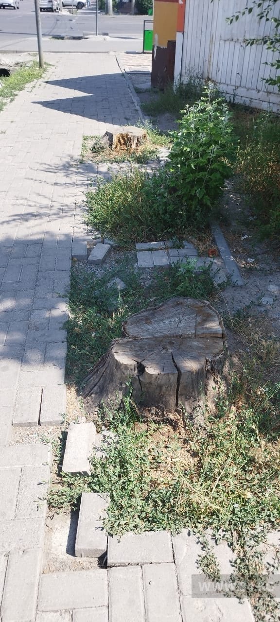 На улице Токтоналиева