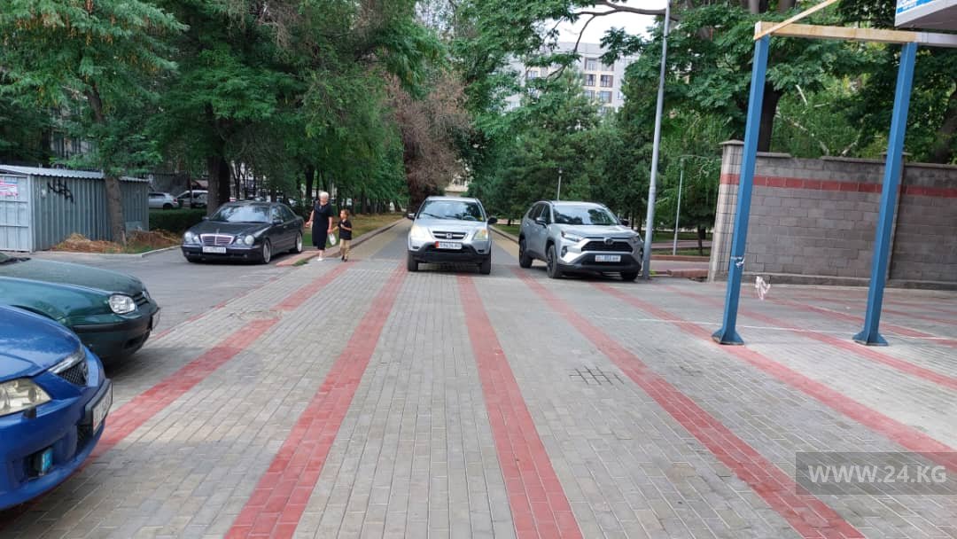 Чудаки парковки