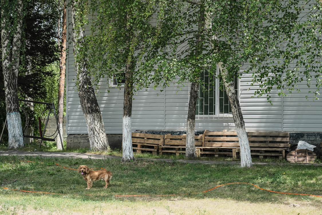 Главный корпус