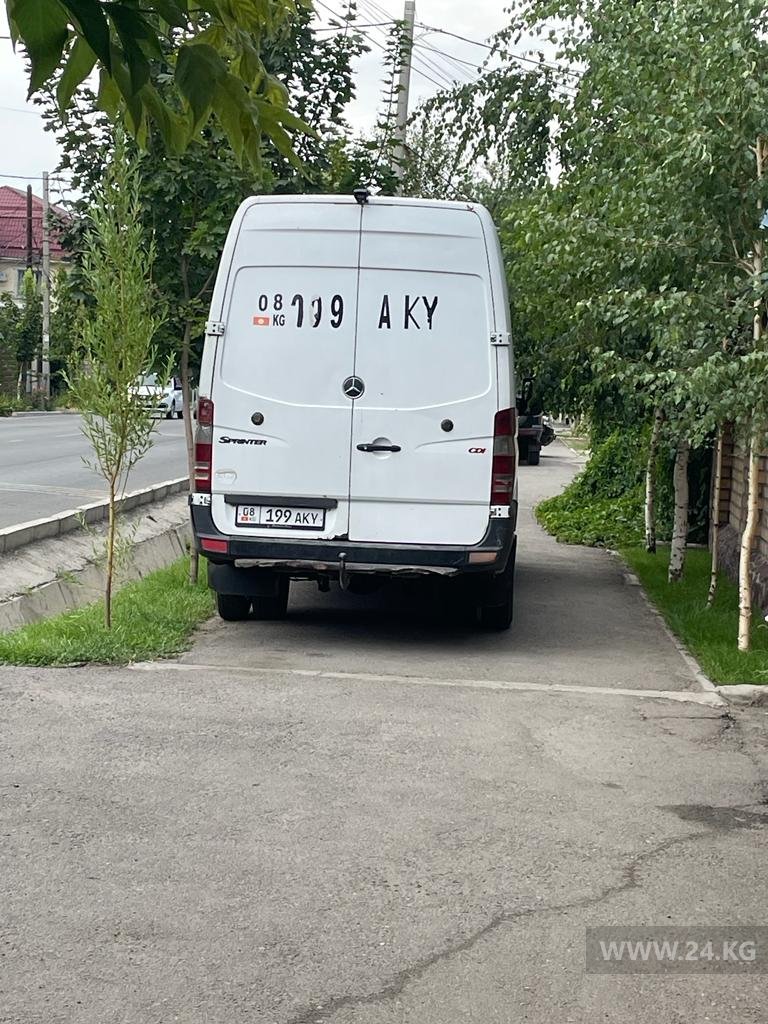 Чудаки парковки