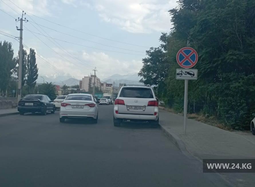 Чудаки парковки
