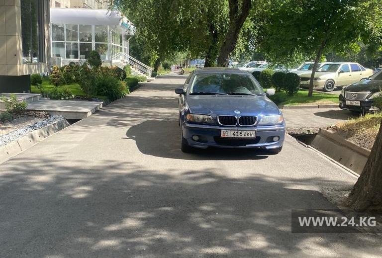 Чудаки парковки