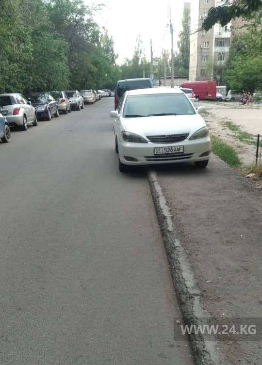 Чудаки парковки