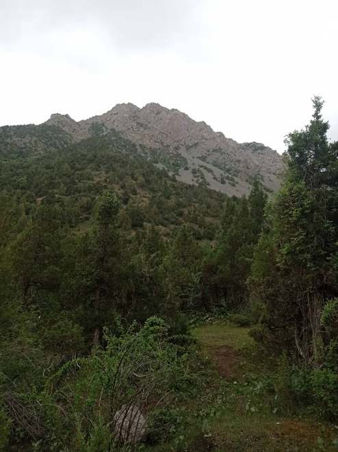 Лейлекский район