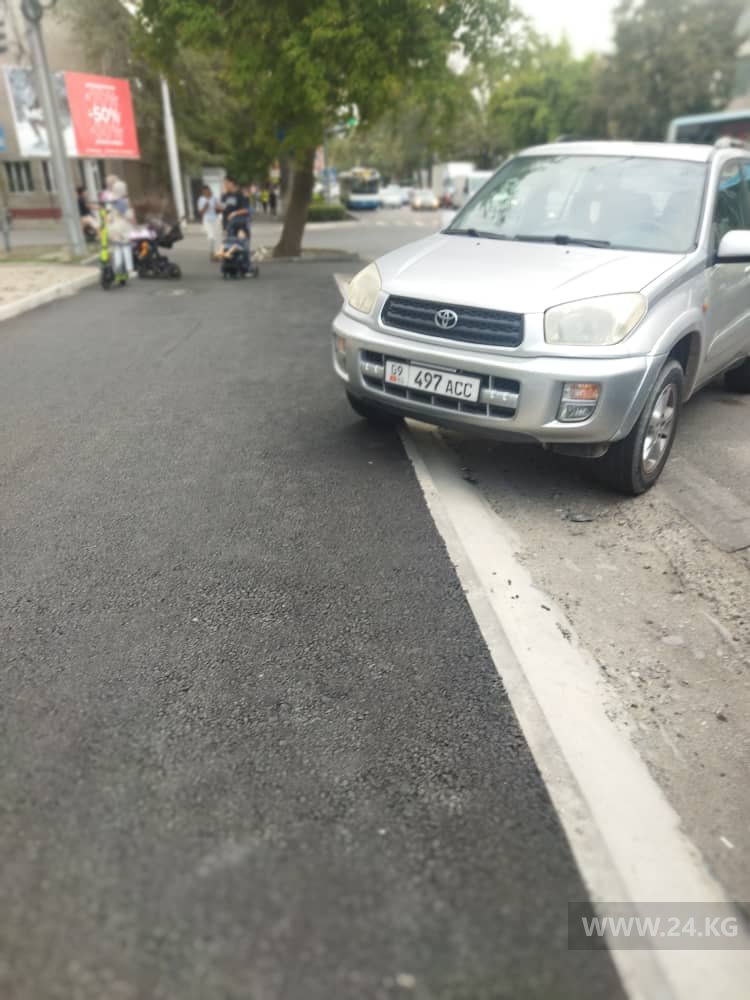 Чудаки парковки