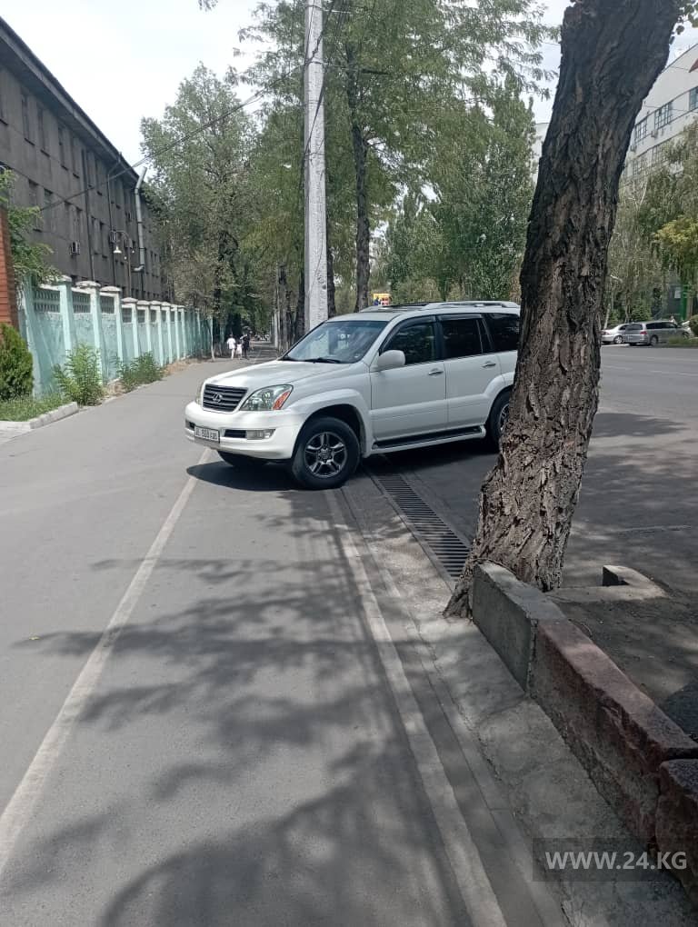 Чудаки парковки