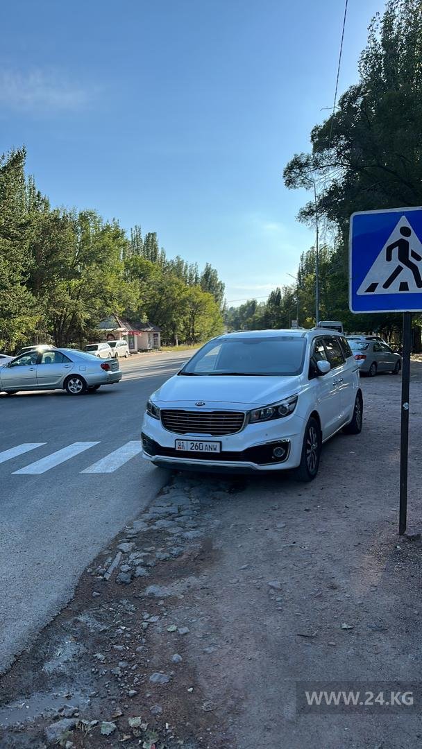 Чудаки парковки