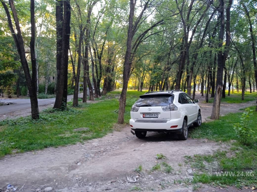 Чудаки парковки