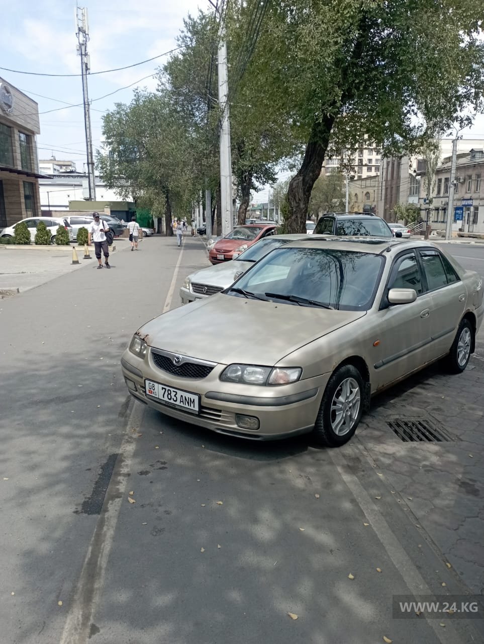 Чудаки парковки