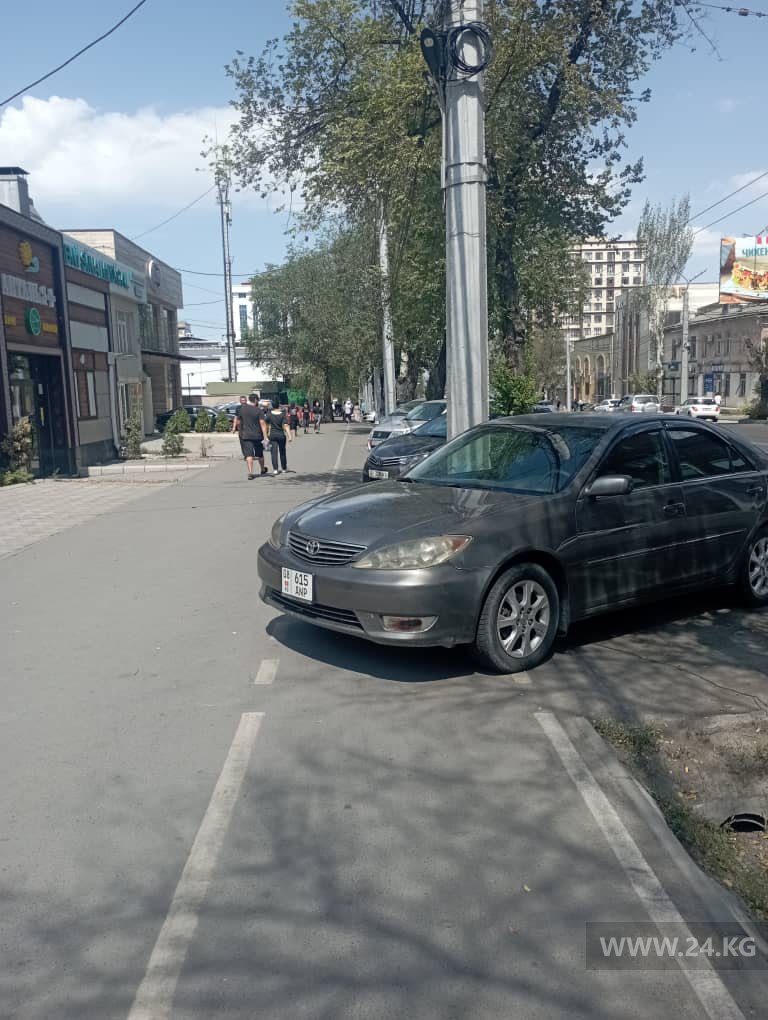 Чудаки парковки