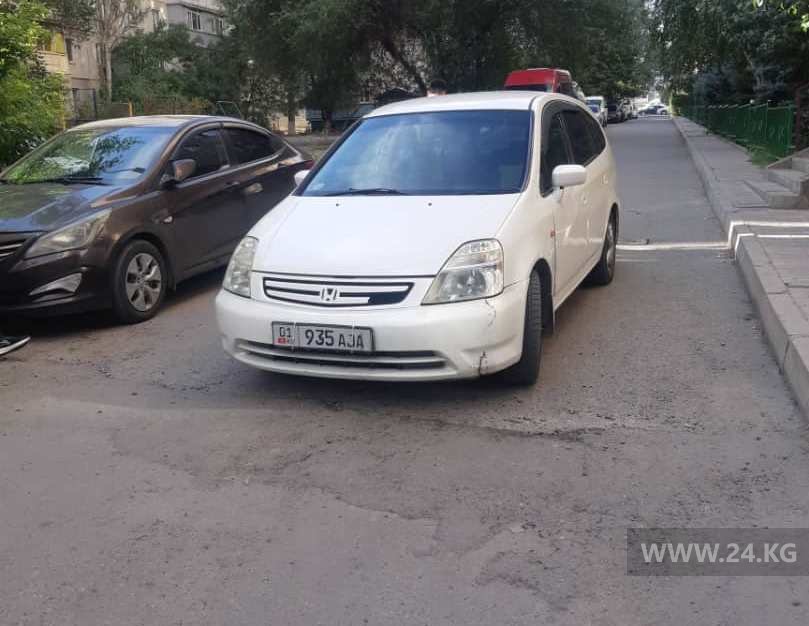 Чудаки парковки