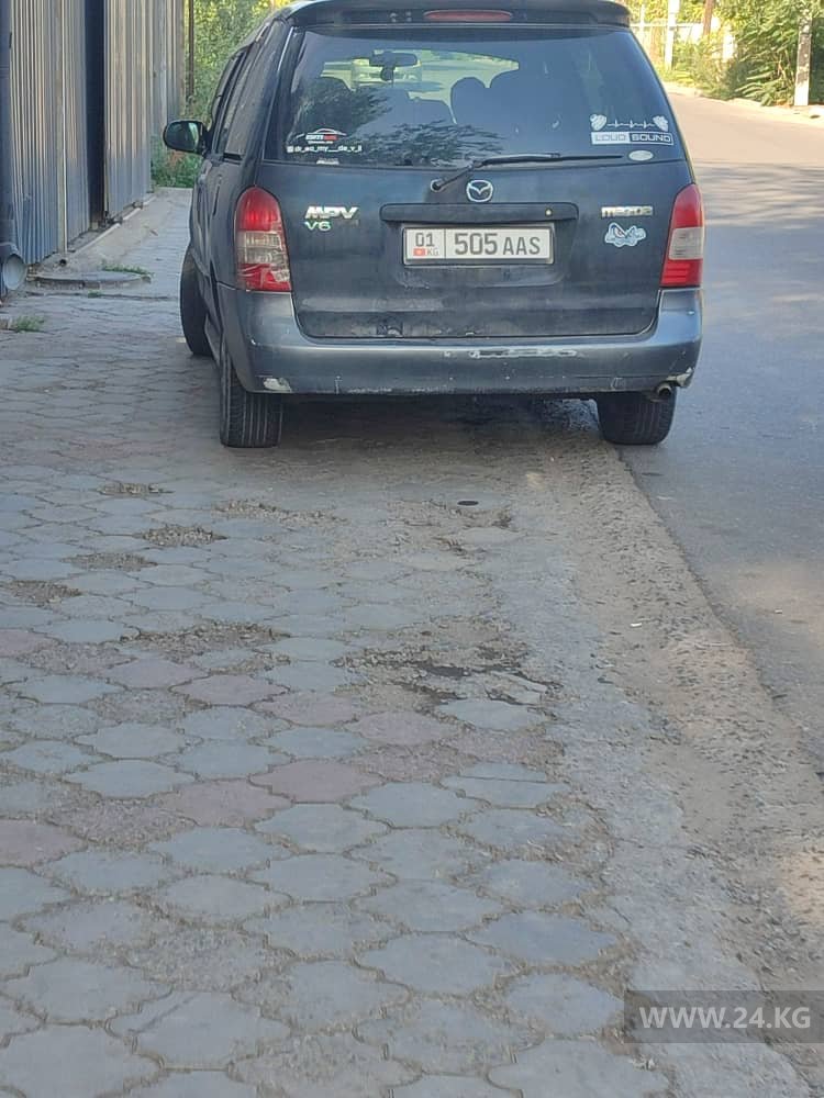 Чудаки парковки