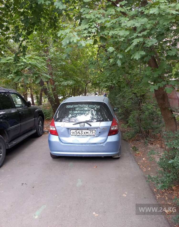 Чудаки парковки