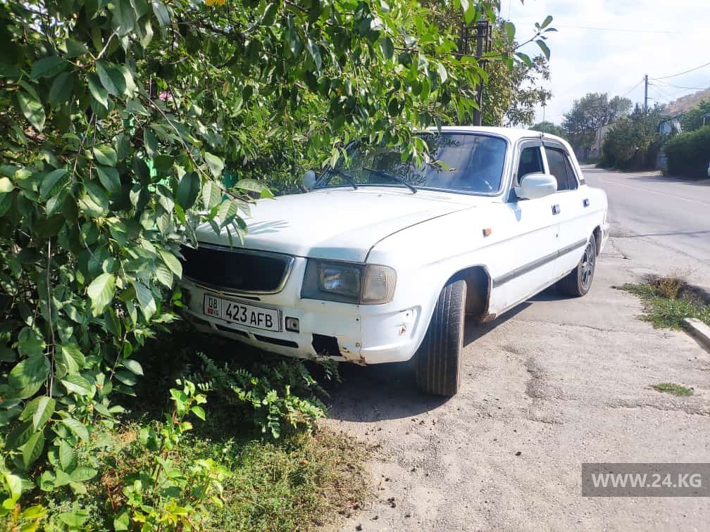 Чудаки парковки