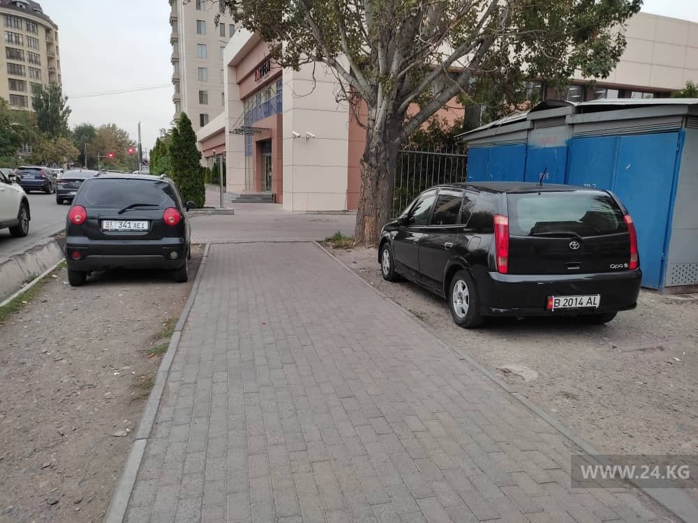 Чудаки парковки
