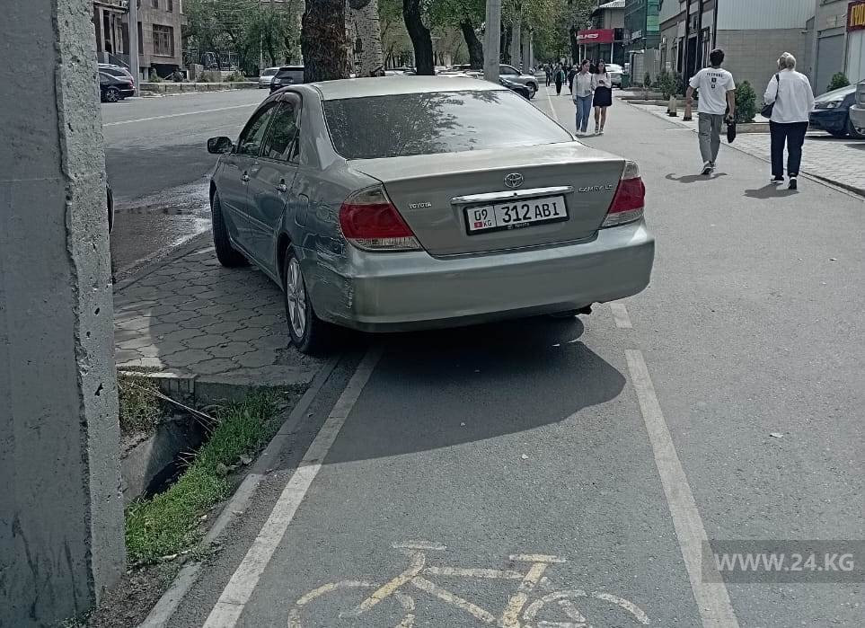 Чудаки парковки
