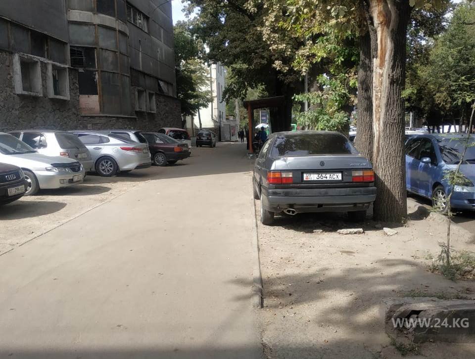 Чудаки парковки