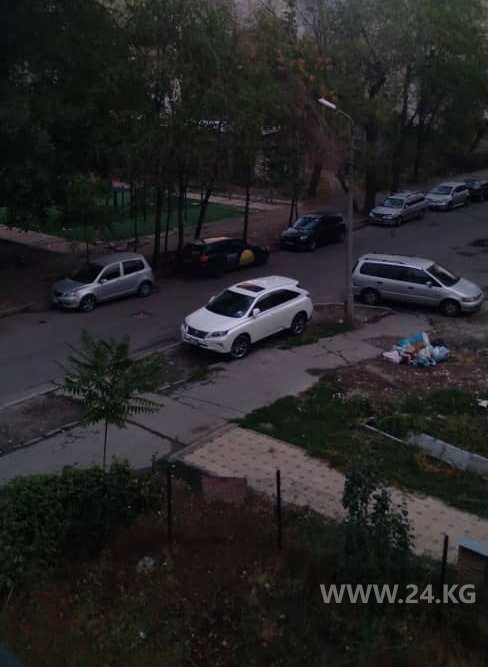 Чудаки парковки