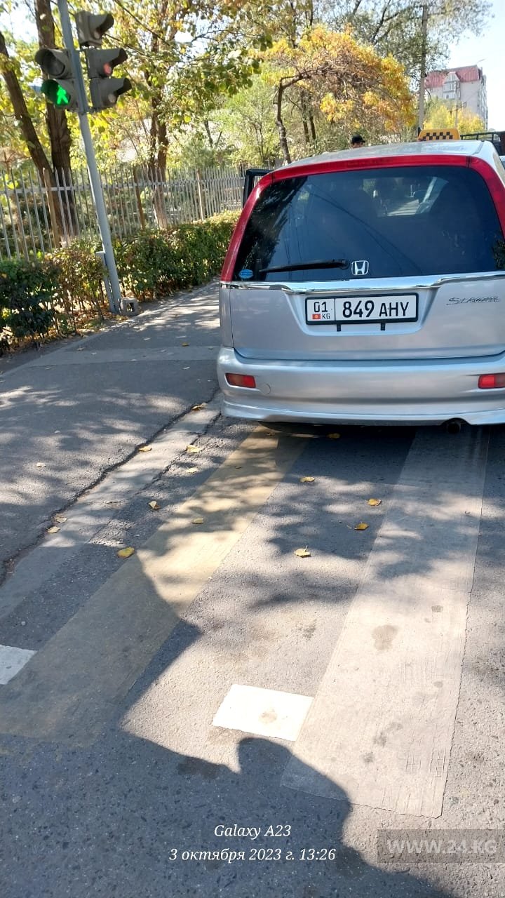 Чудаки парковки