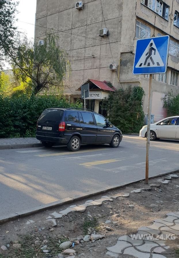 Чудаки парковки