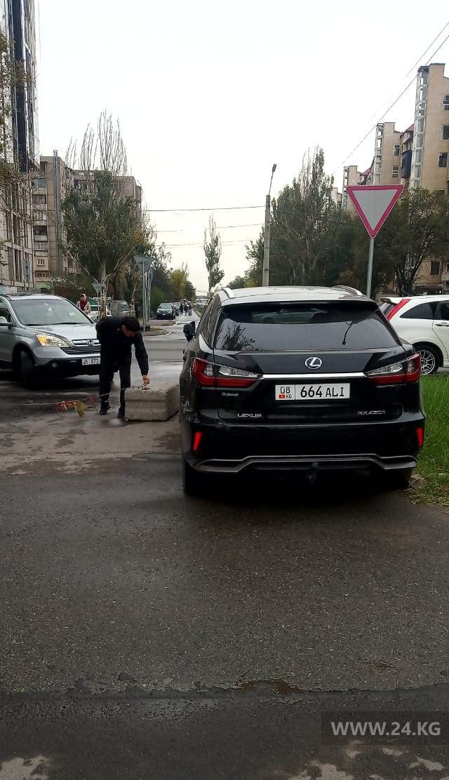 Чудаки парковки