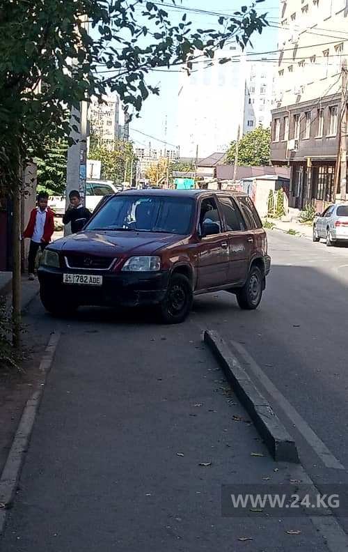 Чудаки парковки