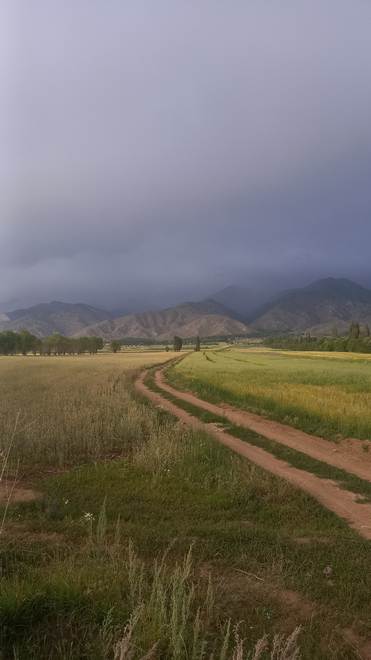 Иссык-Куль, Ананьево