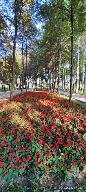 Бишкек, парк Победы