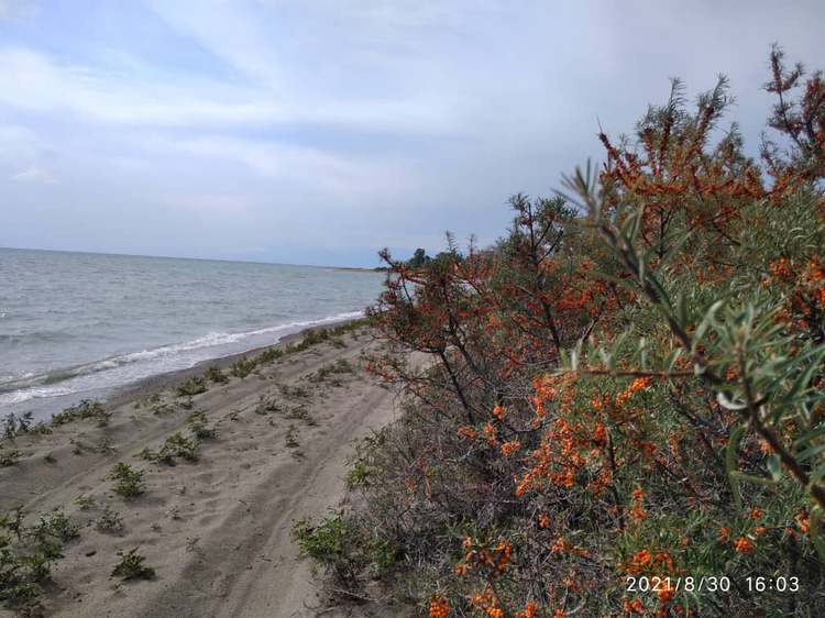 Тюпский район, село Маяк