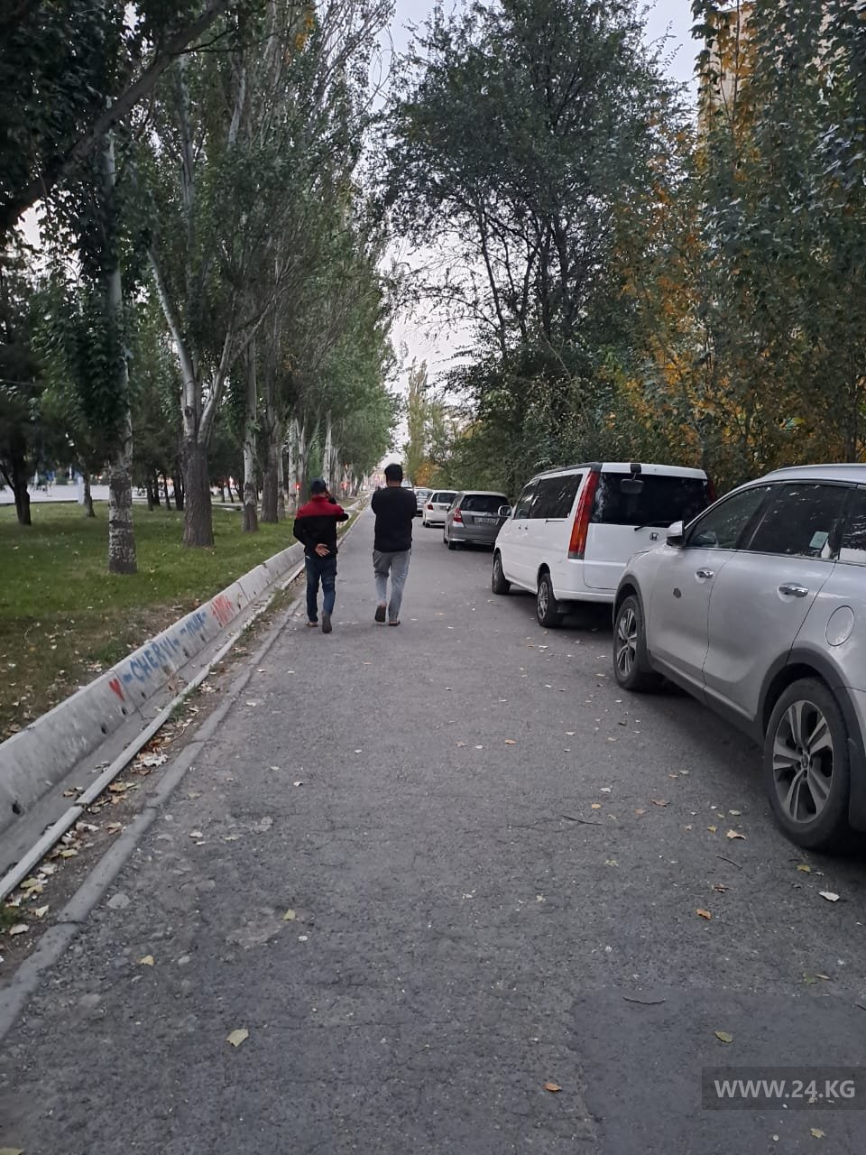 Чудаки парковки