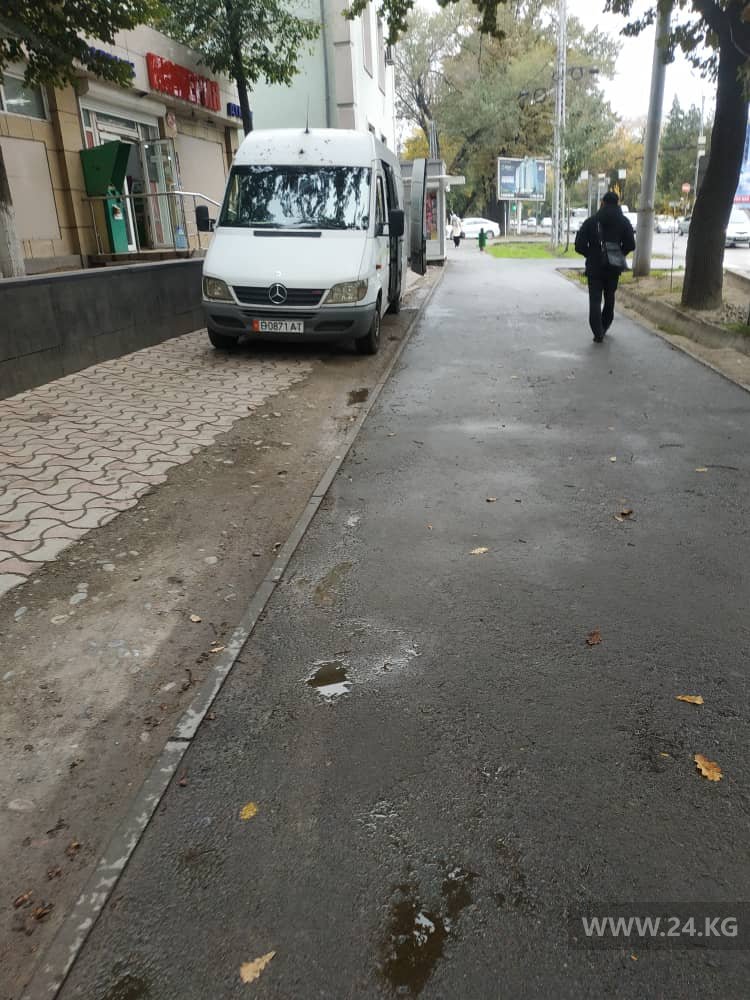 Чудаки парковки