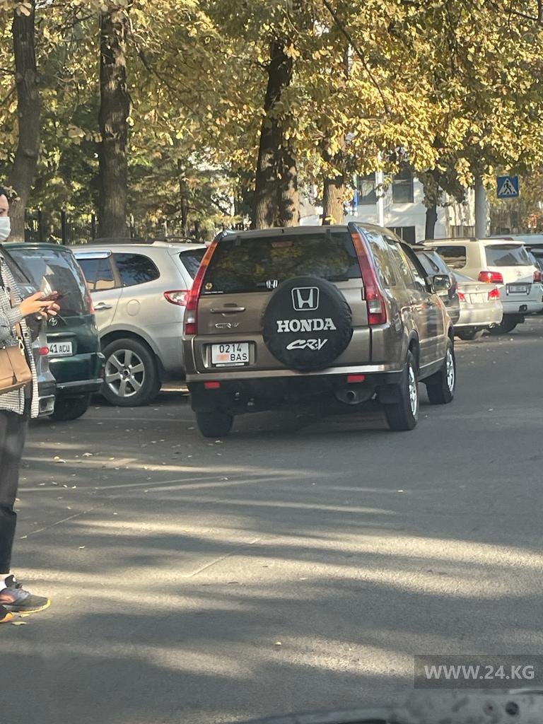 Чудаки парковки