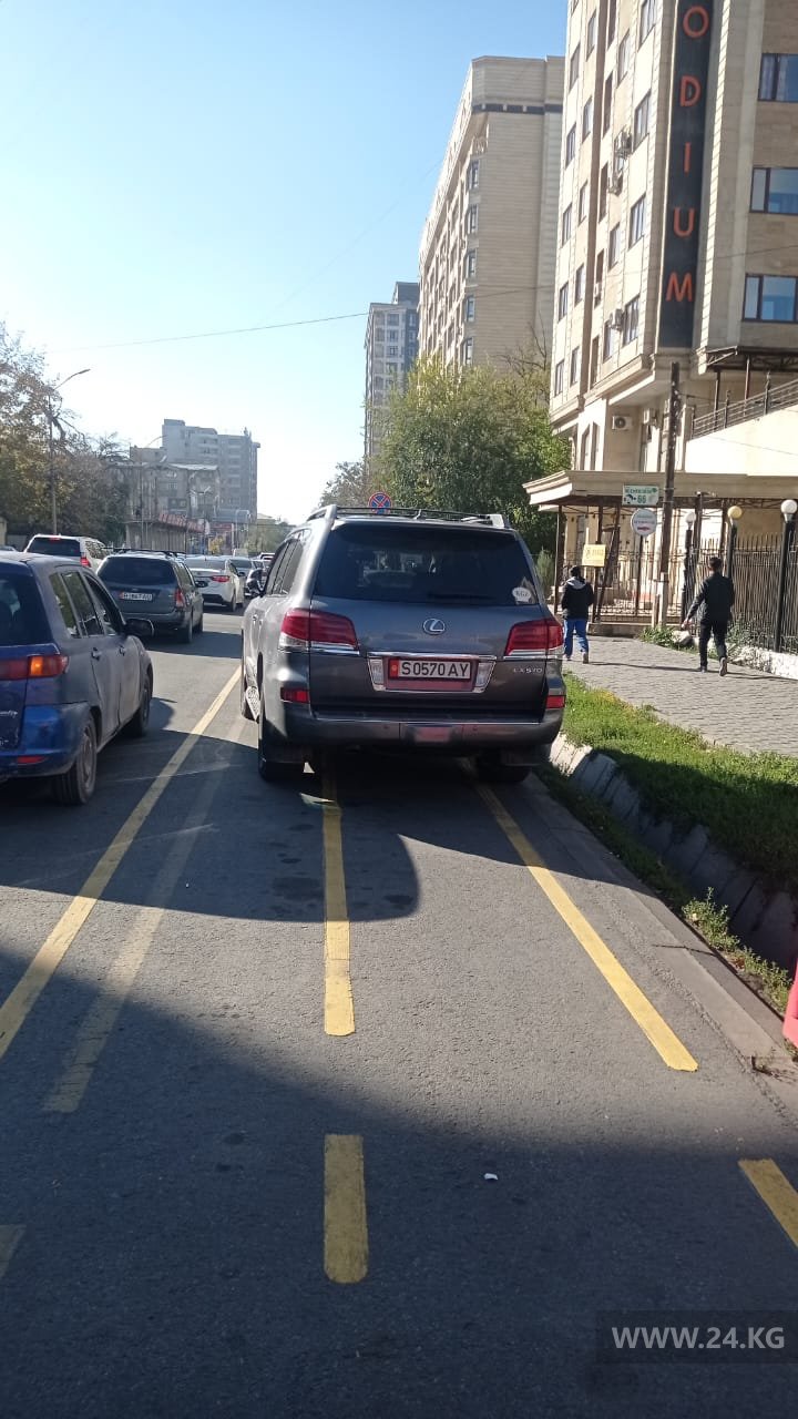 Чудаки парковки