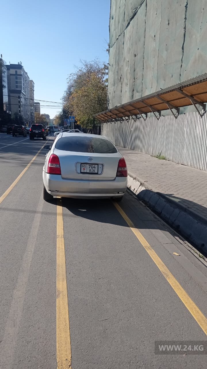 Чудаки парковки