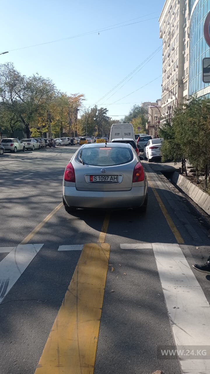 Чудаки парковки