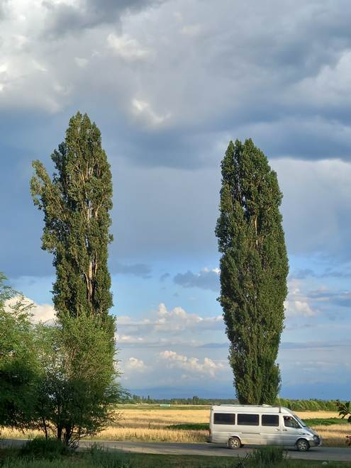Иссык-Куль, Ананьево
