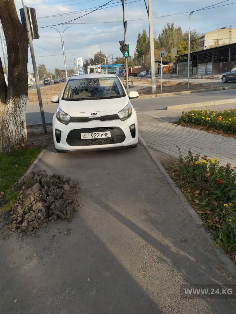 Чудаки парковки