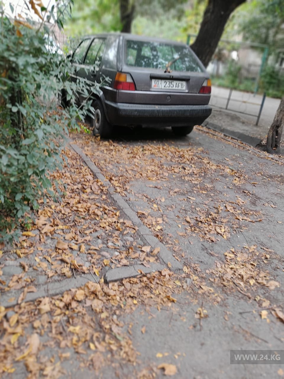 Чудаки парковки