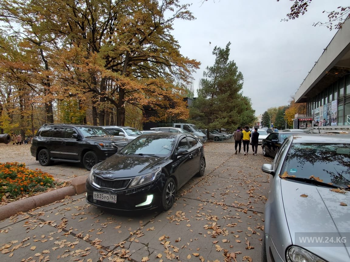 Дубовый парк превратили в стоянку
