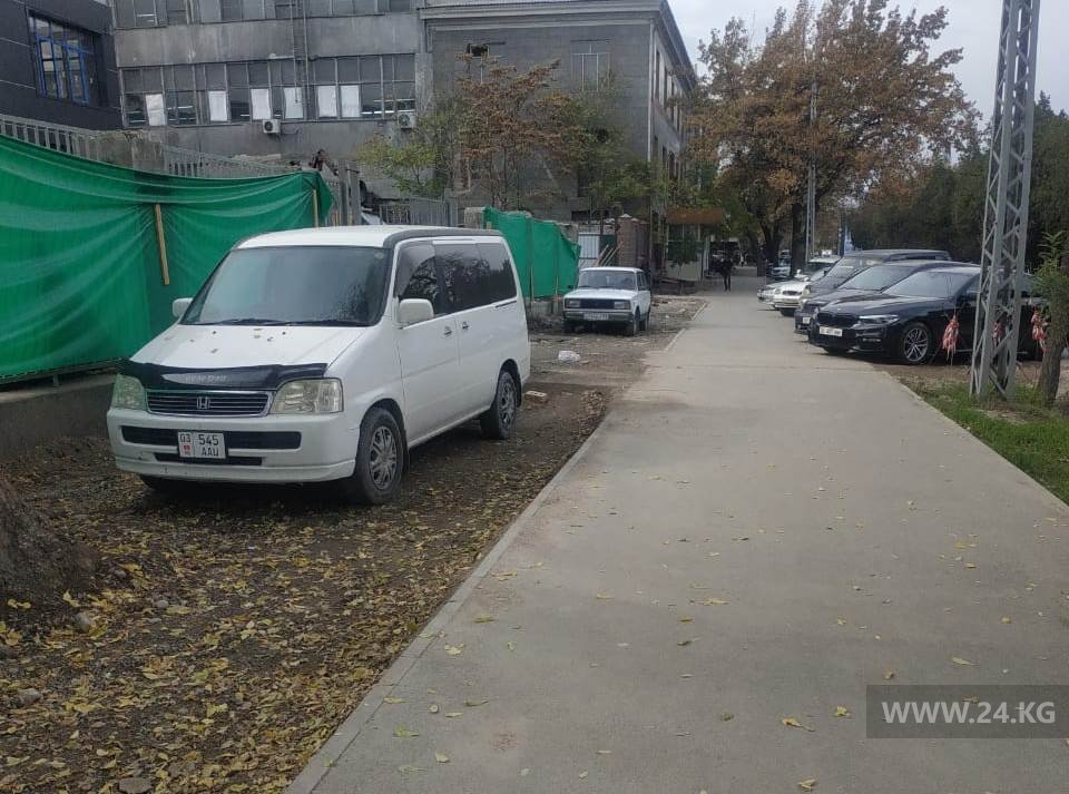 Чудаки парковки