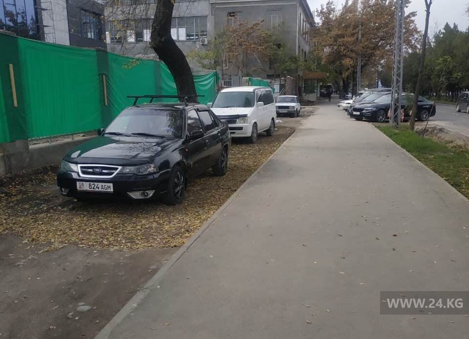 Чудаки парковки