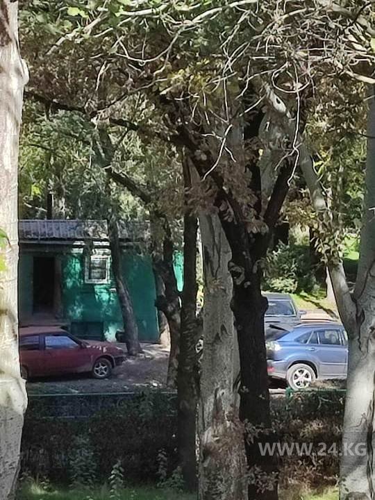 Чудаки парковки