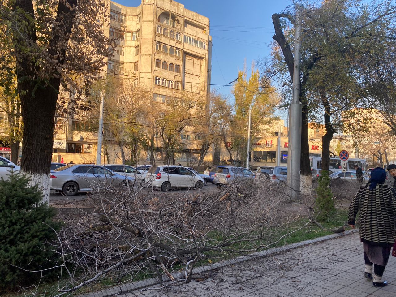 На улице Московской изуродовали деревья