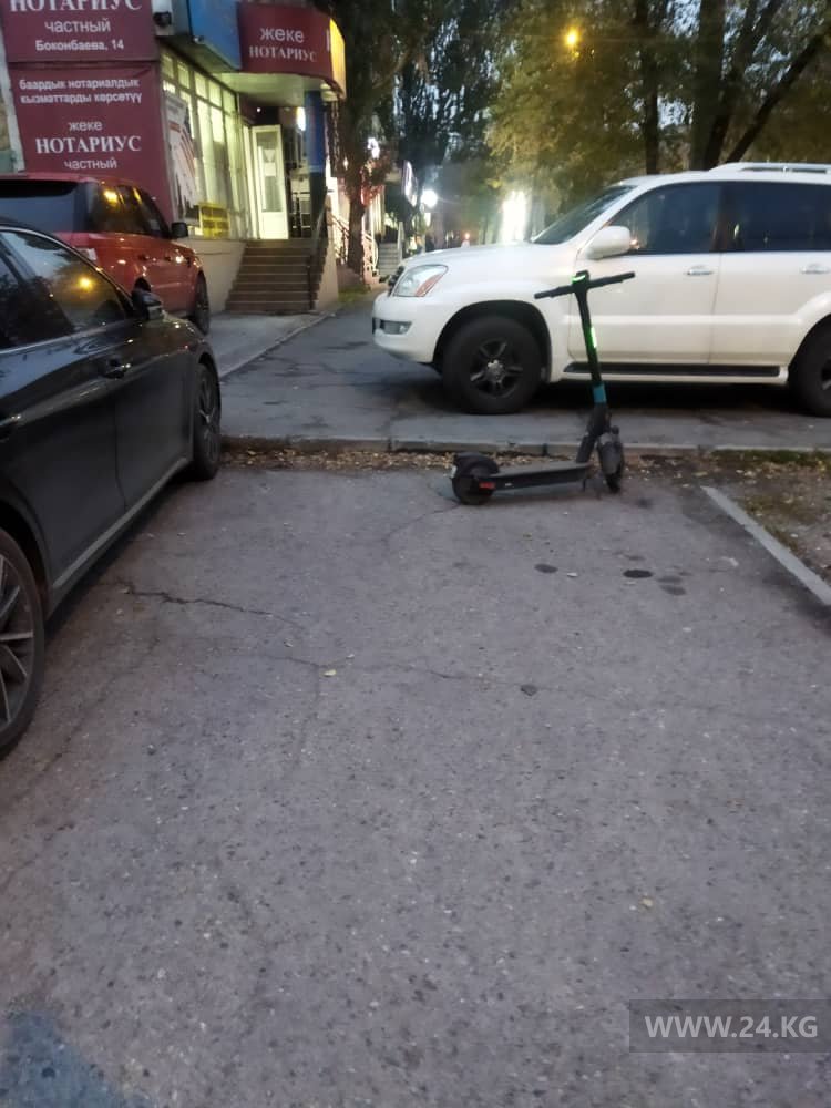 Чудаки парковки